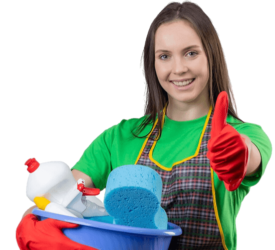 Professional cleaning service