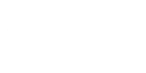 Spiffy Services Group