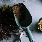 Seasonal Garden Maintenance Tips For Healthy Landscapes