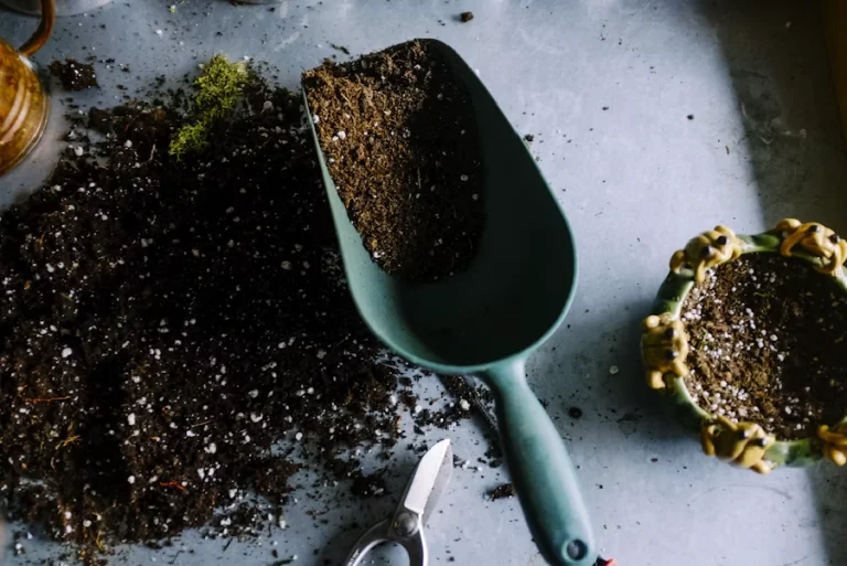 Seasonal Garden Maintenance Tips For Healthy Landscapes