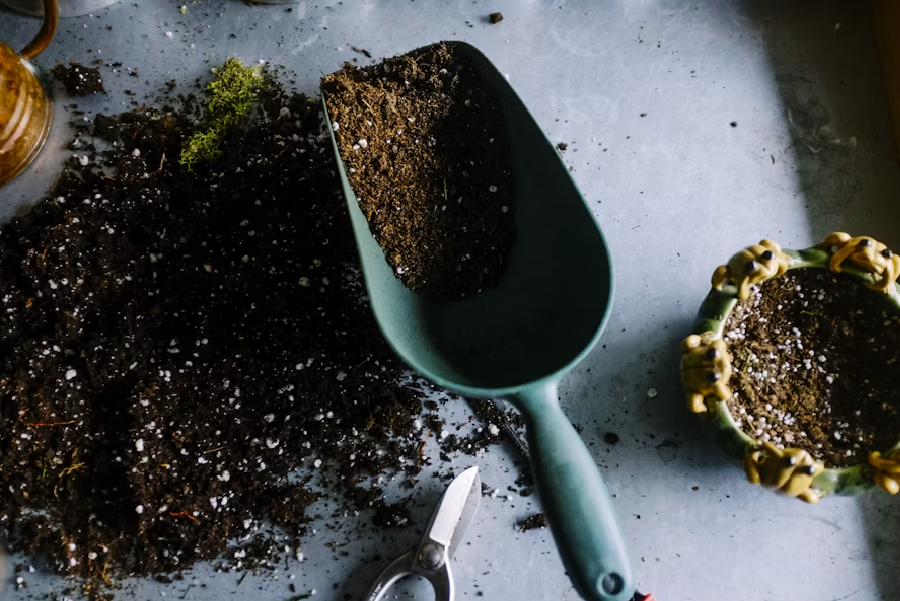 Seasonal Garden Maintenance Tips For Healthy Landscapes